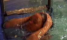 美丽的业余爱好者Gabriella在游泳池里展示她的阴部